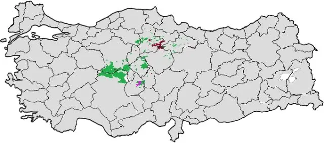 Orta Anadolu Kürtleri portresi