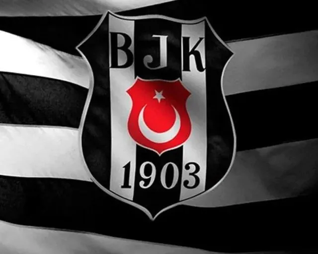 Ahmet Doğan Börtücene portresi