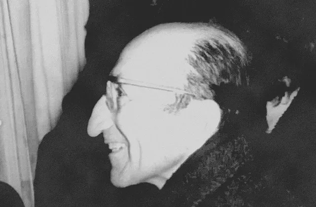 Takiyettin Mengüşoğlu portresi