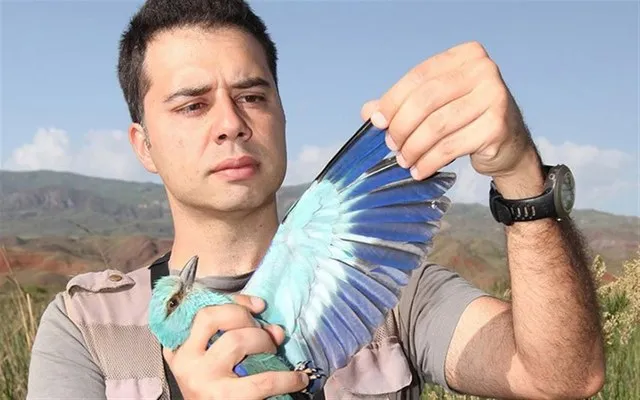 Çağan Hakkı Şekercioğlu portresi