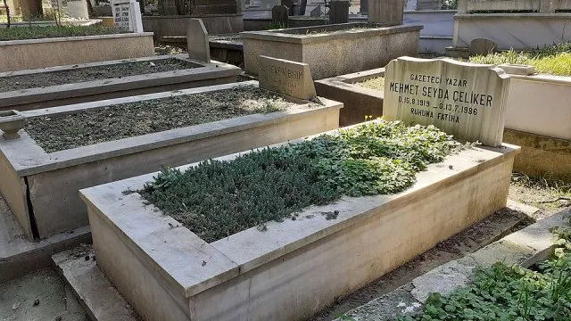Mehmet Seyda portresi