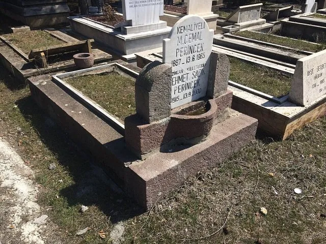 Sadık Perinçek portresi