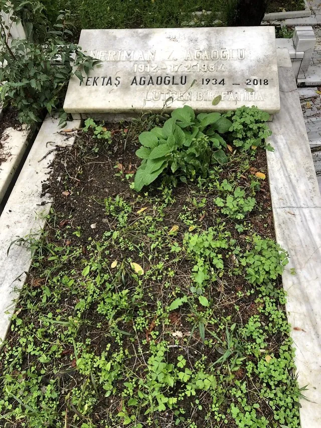 Neriman Ağaoğlu portresi