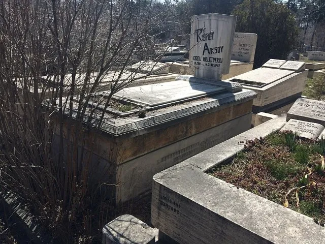 Osman Rafet Aksoy portresi