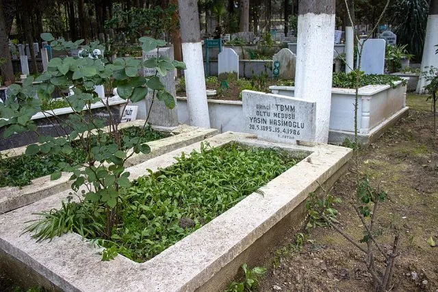 Yasin Haşimoğlu portresi