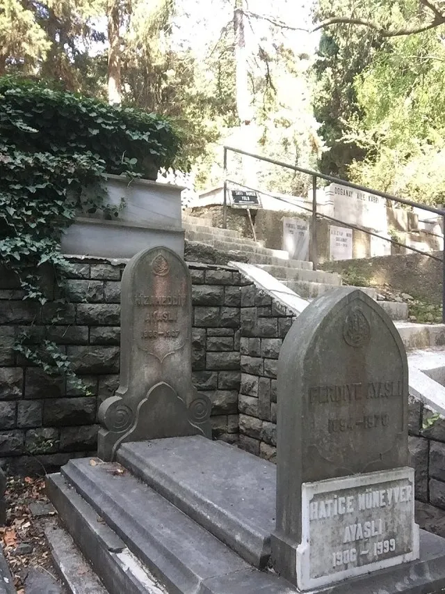 Nizamettin Ayaşlı portresi