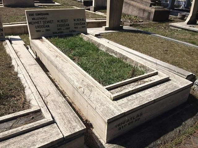 Mehmet Şevket Erdoğan portresi