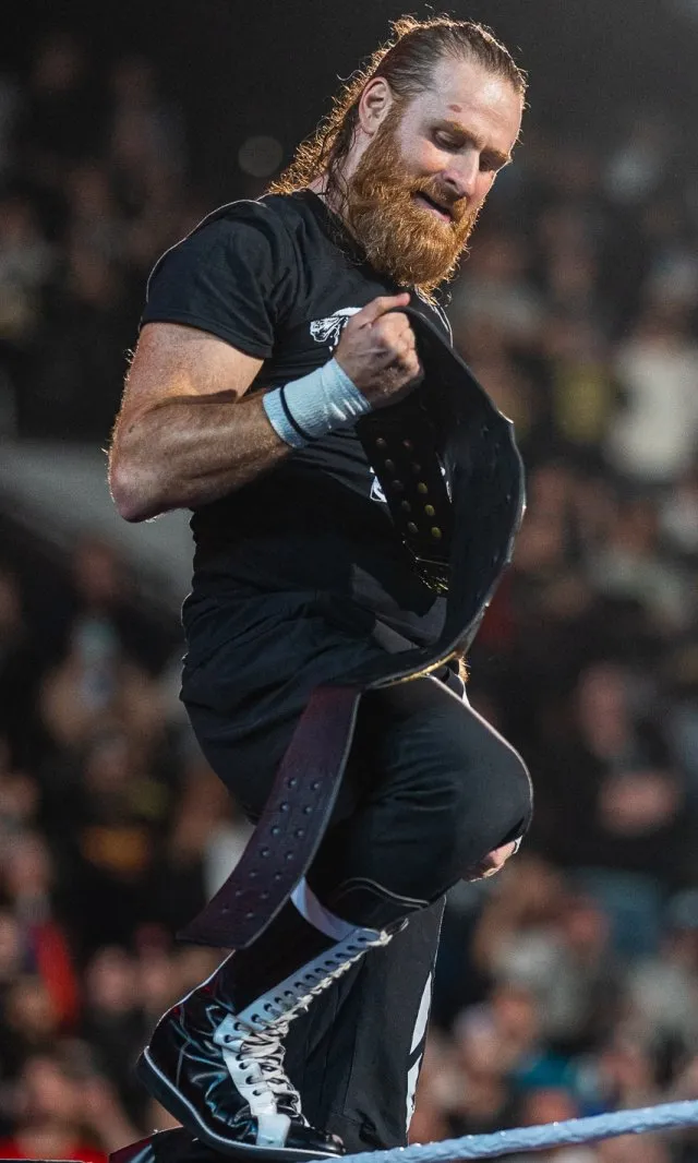 Sami Zayn portresi