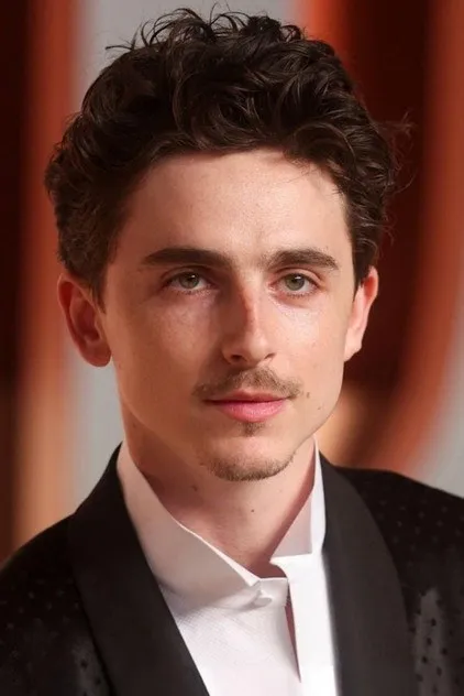 Timothée Chalamet portresi