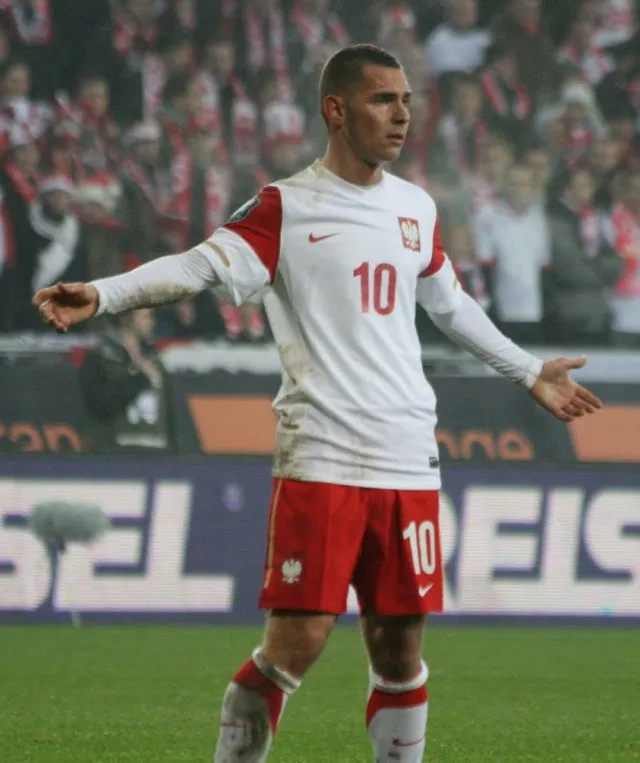 Ludovic Obraniak portresi