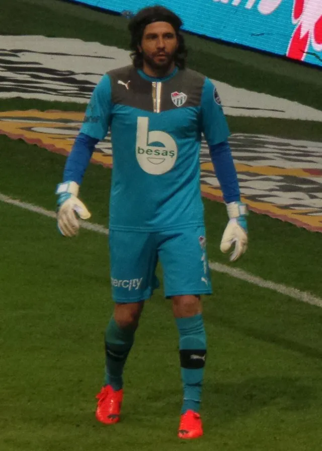 Sébastien Frey portresi