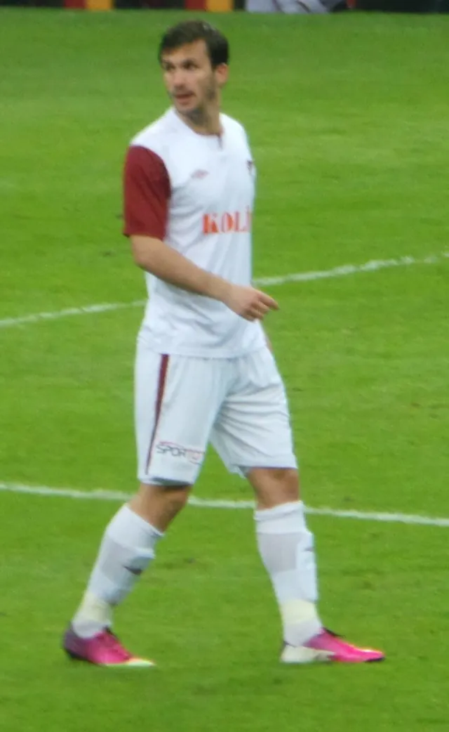 Ivan Sesar portresi