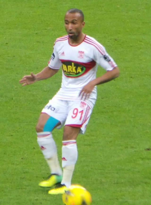 Mehdi Tavil portresi