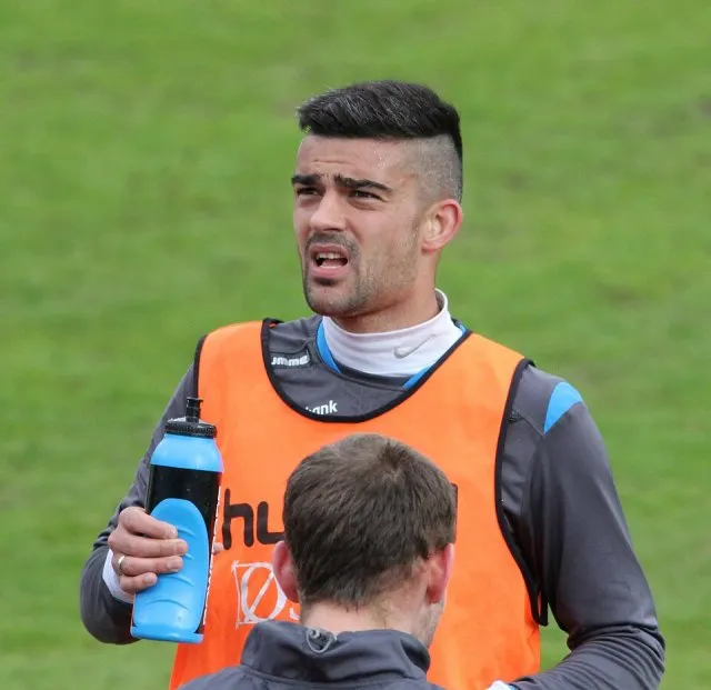 Miloš Mihajlov portresi