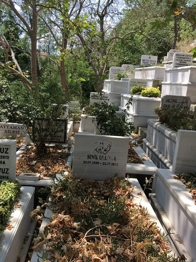 Sevil Uluyol portresi