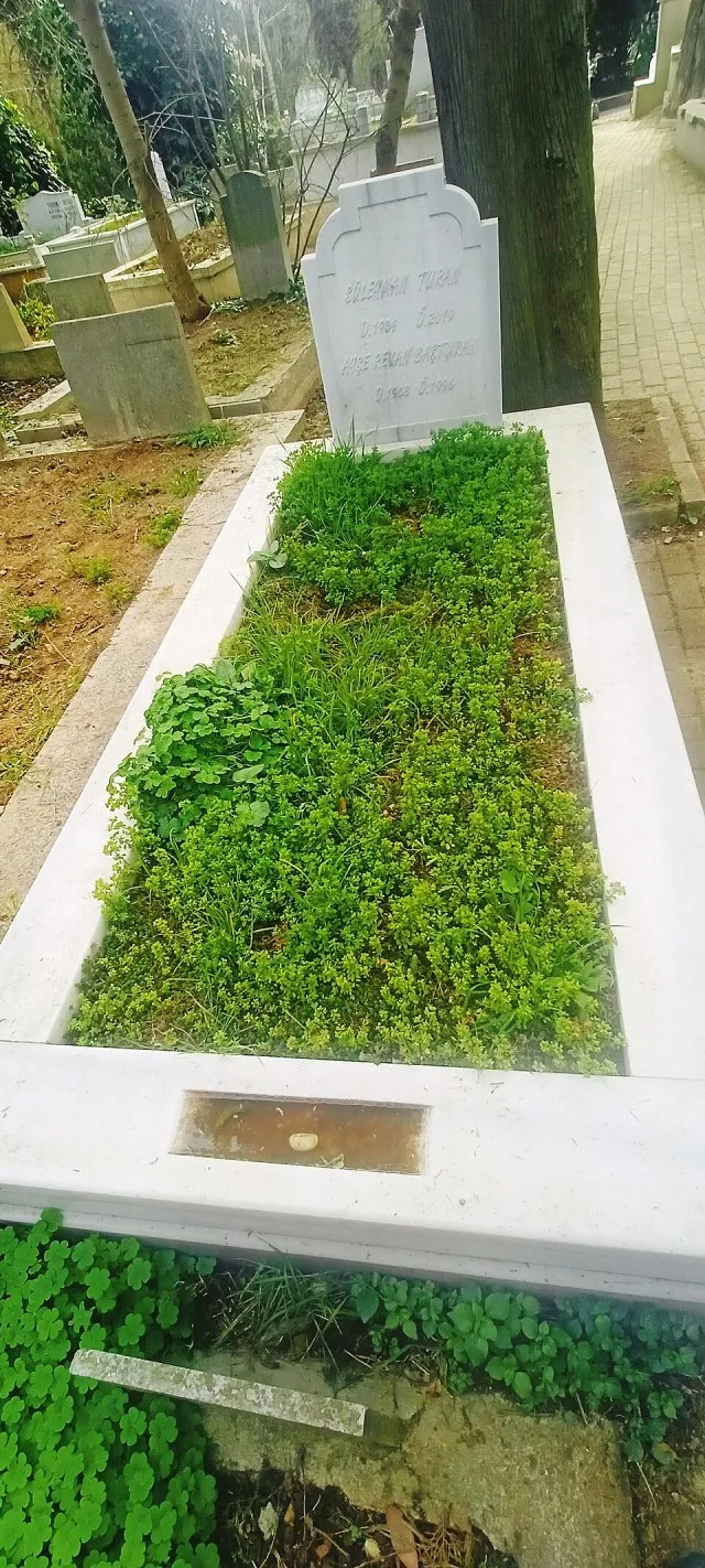 Süleyman Turan portresi