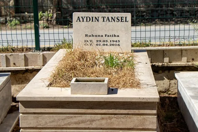 Aydın Tansel portresi
