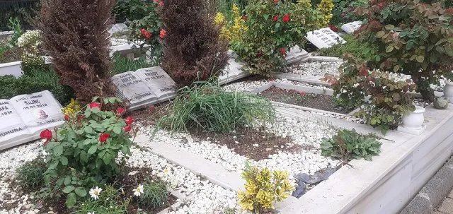 Metin Ersoy portresi