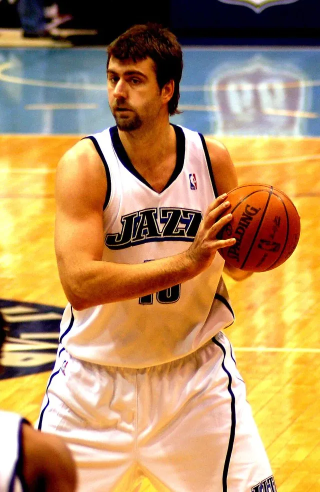 Mehmet Okur portresi