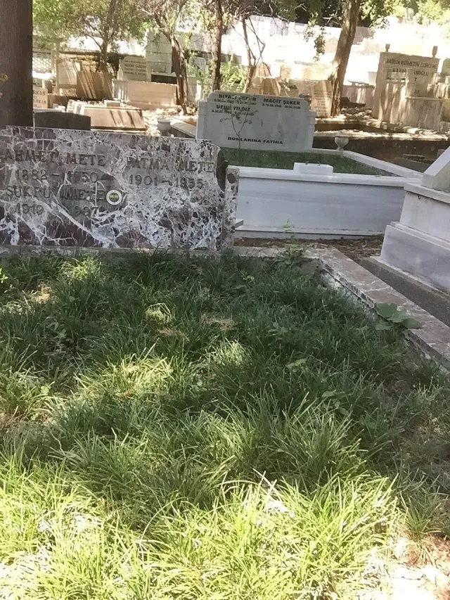 Şükrü Mete portresi