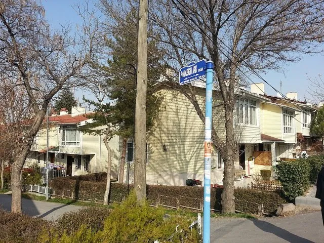 Engin Arık portresi