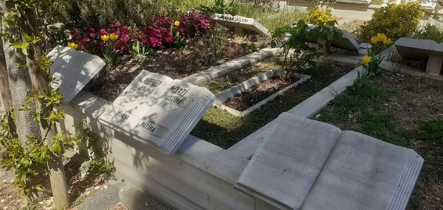 Mehmed Niyazi Özdemir portresi