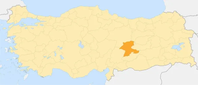 Ali Galip Olayı portresi