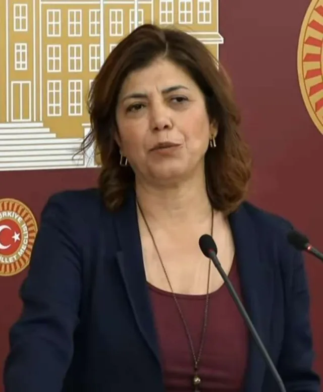 Meral Danış Beştaş portresi