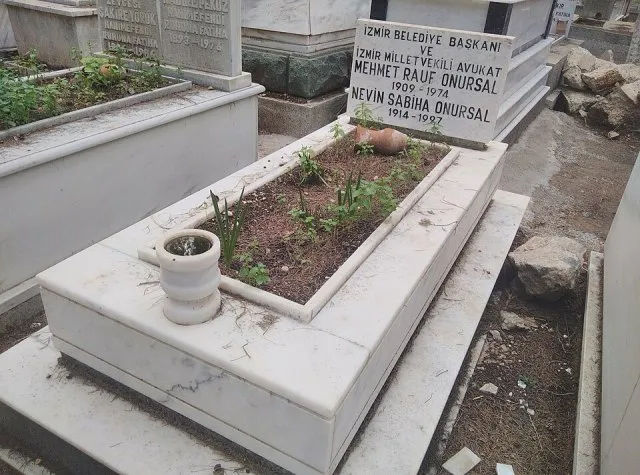 Mehmet Rauf Onursal portresi