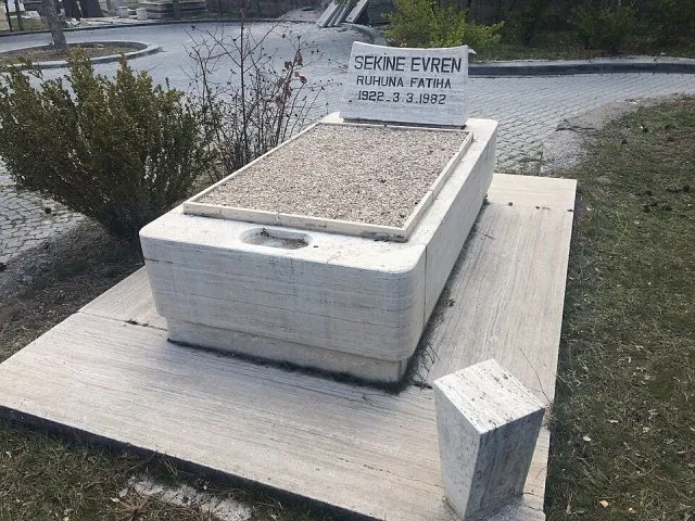 Sekine Evren portresi