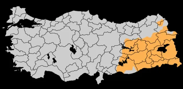 Çözüm Süreci portresi