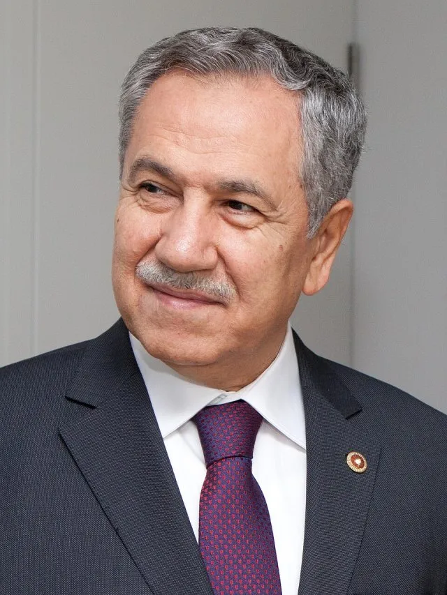 Bülent Arınç portresi