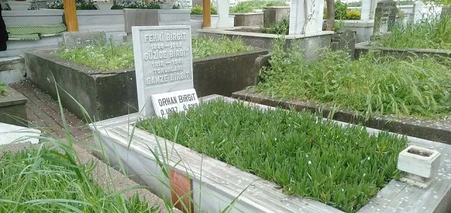 Orhan Birgit portresi
