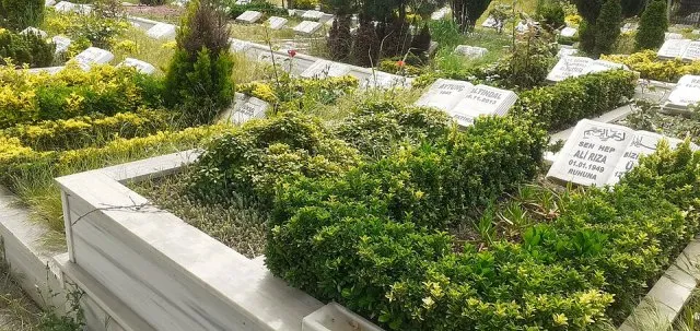 Aytunç Altındal portresi