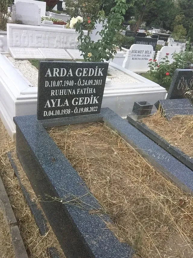 Arda Gedik portresi