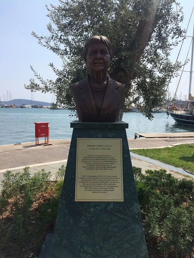 Türkan Saylan portresi