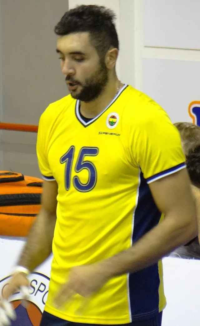 Metin Toy portresi