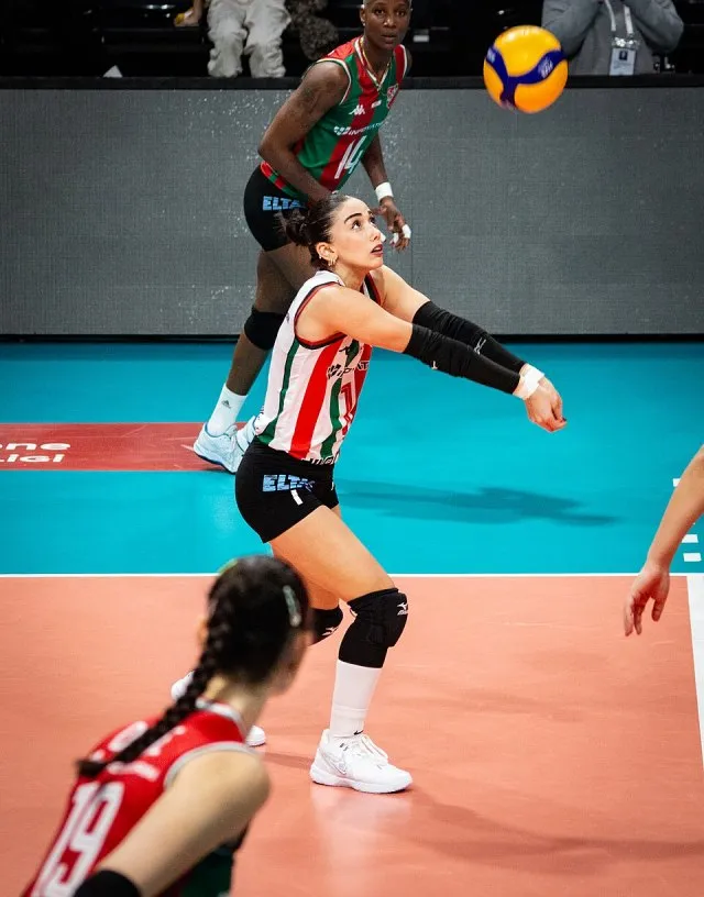 İlarya Zararsız portresi