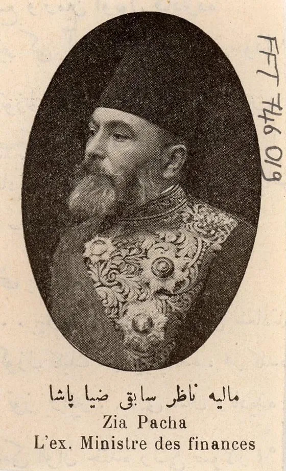 Mehmed Ziyâ Paşa portresi