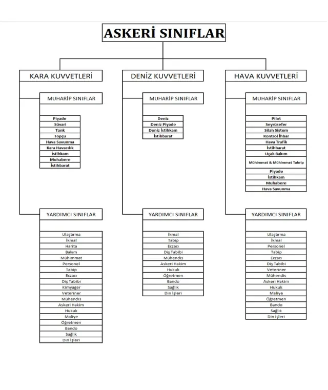 Türk Silahlı Kuvvetlerinde askerî sınıflar portresi
