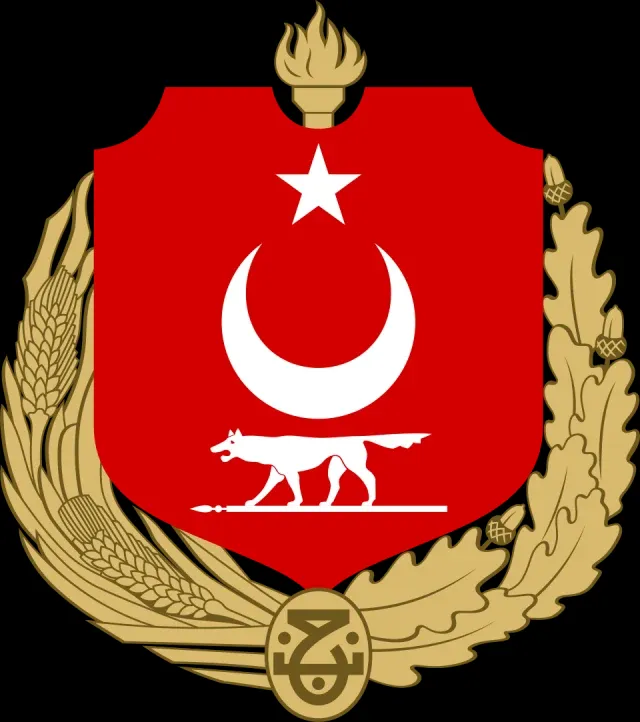 Asena portresi