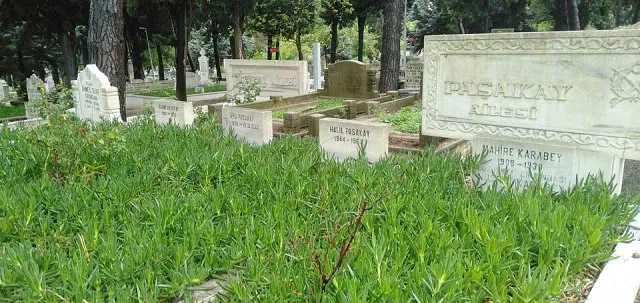 Ahu Paşakay portresi