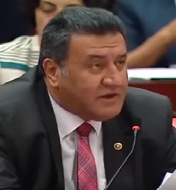 Ömer Fethi Gürer portresi