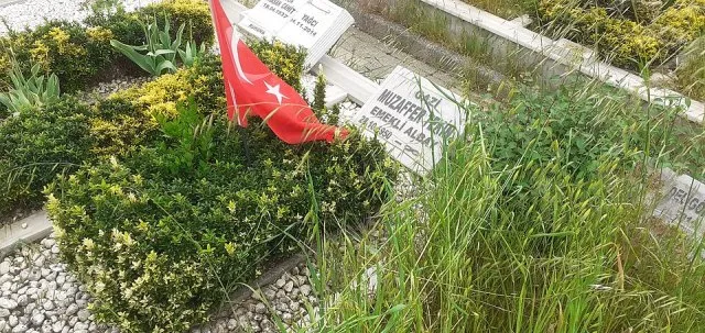 Muzaffer Tekin portresi