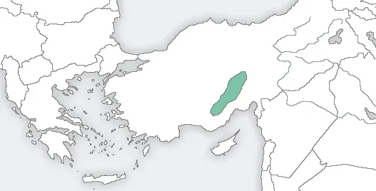 Karamanlılar portresi