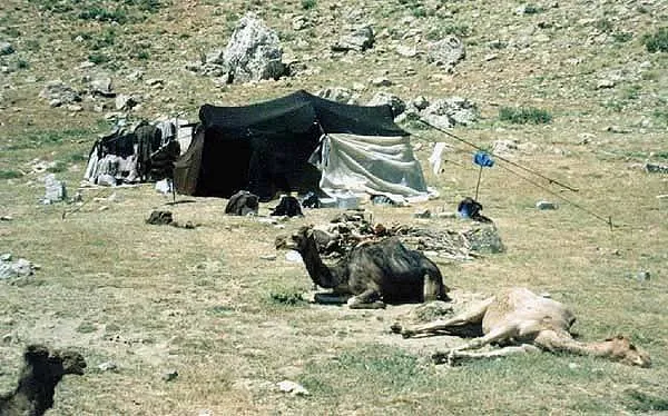 Türkiye Türkmenleri portresi