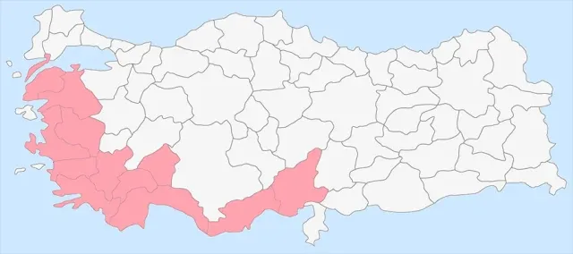 Tahtacılar portresi
