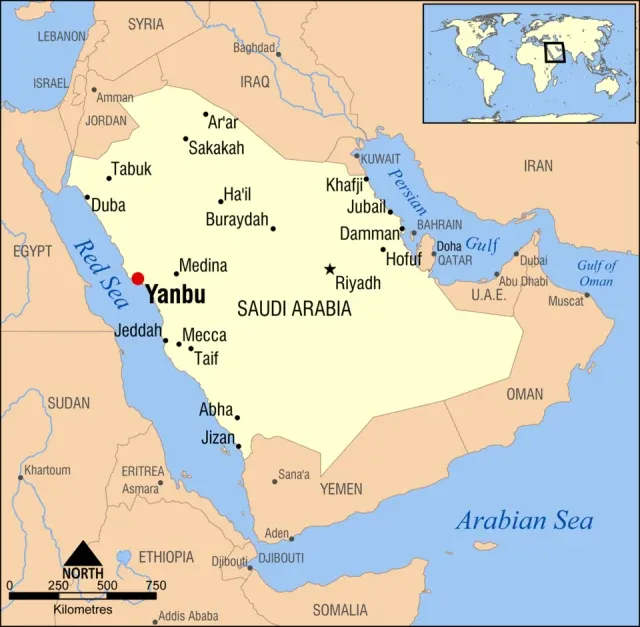Medine Muharebesi (1812) portresi