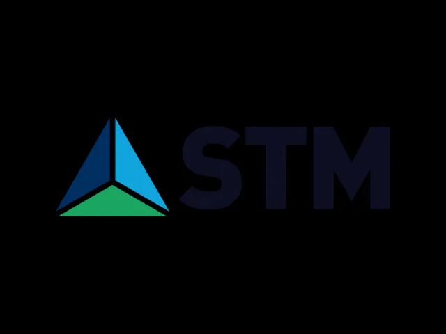STM portresi