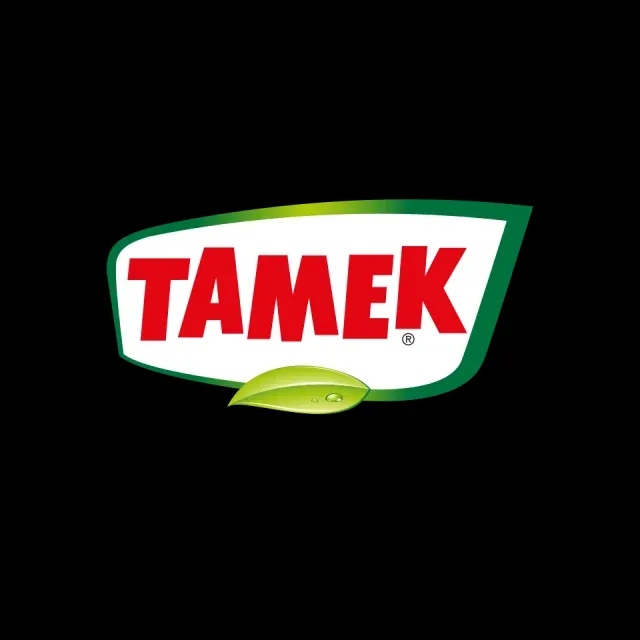 Tamek Holding portresi